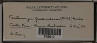 Image Associated With the Occurence